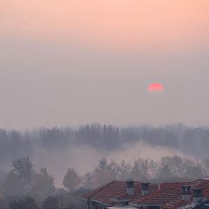 风间申美与子息777
